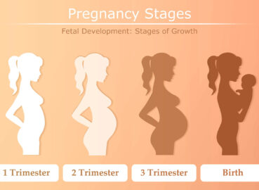 CHECKLISTS FOR FIRST, SECOND, AND THIRD TRIMESTER